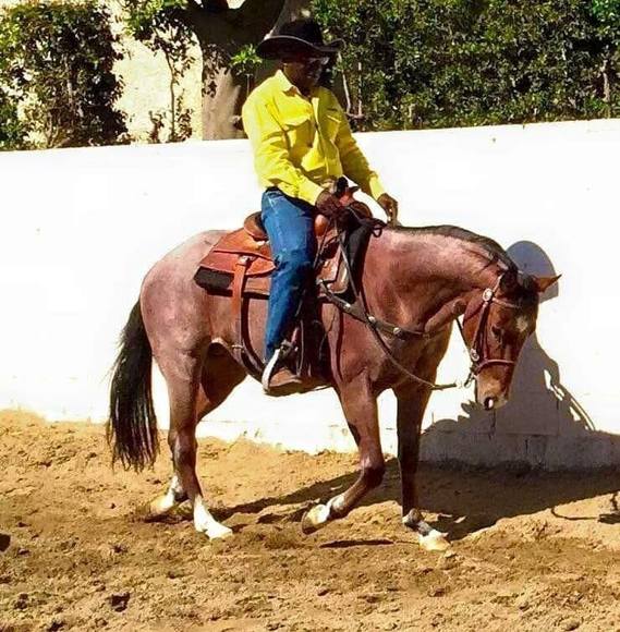 Meet your Posher, Allen - Picture 1 of 1